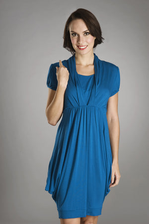 Maternalove Nadya Blue Nursing Dress