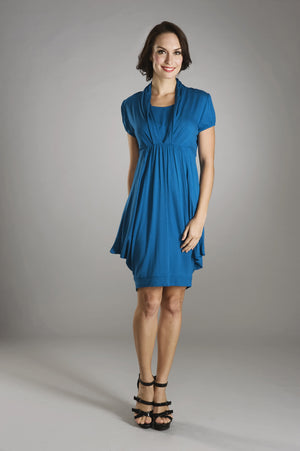 Maternalove Nadya Blue Nursing Dress