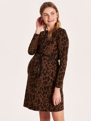 Leopard Print Maternity Knit Dress with Belt